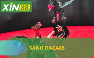 SẢNH DAGA88 TẠI NHÀ CÁI XIN88