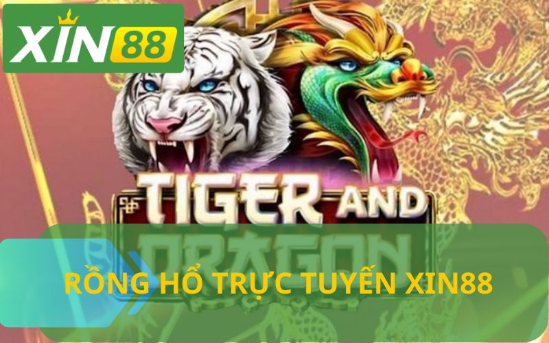 HƯỚNG DẪN CHƠI RỒNG HỔ TRỰC TUYẾN TẠI XIN88