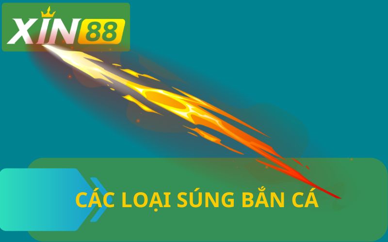 CÁC LOẠI SÚNG BẮN CÁ TẠI XIN88